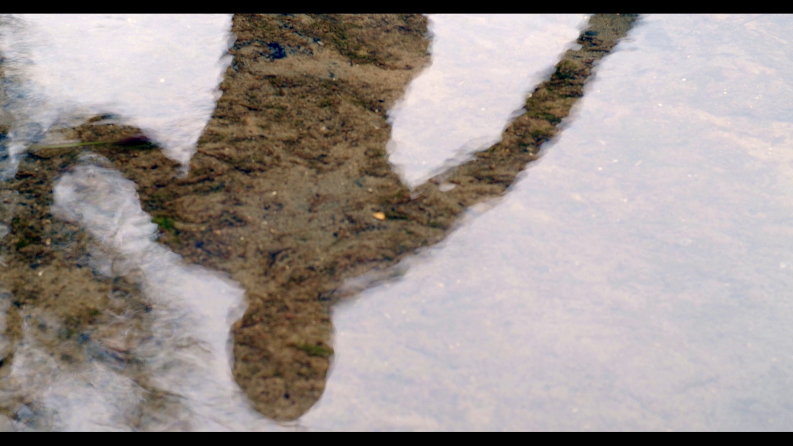 Cartaz - De Dentro de Mim